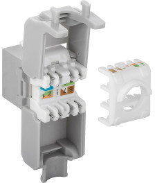 CAT6a UTP Keystone Netzwerkstecker - Toolless - Grau