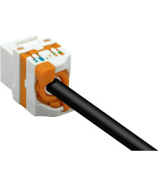 CAT6 UTP Keystone Netzwerkstecker - Toolless Twist