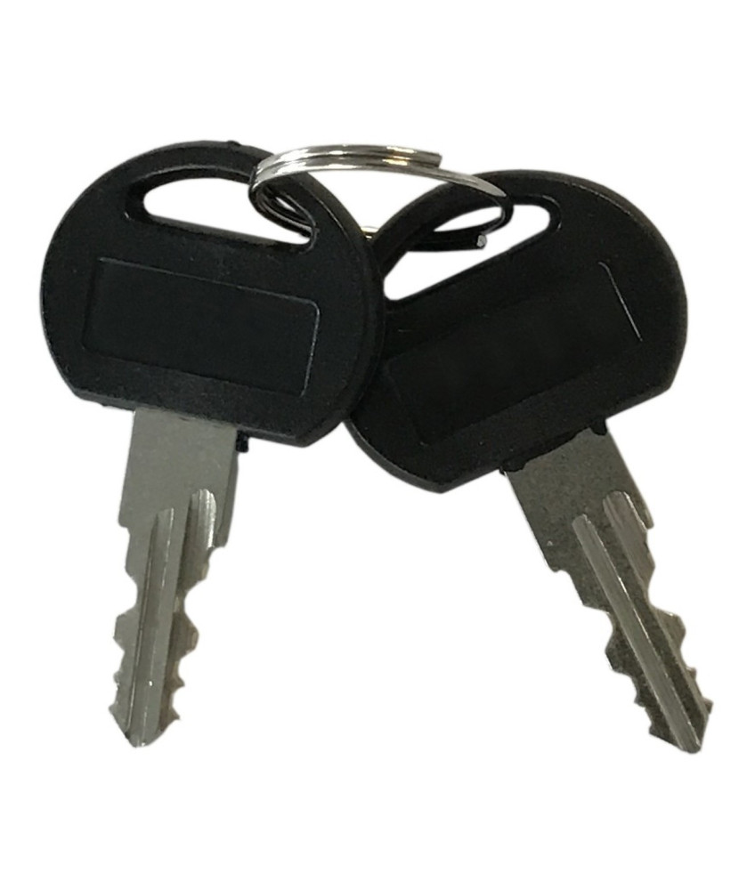 Standard door lock for server cabinets - type 00