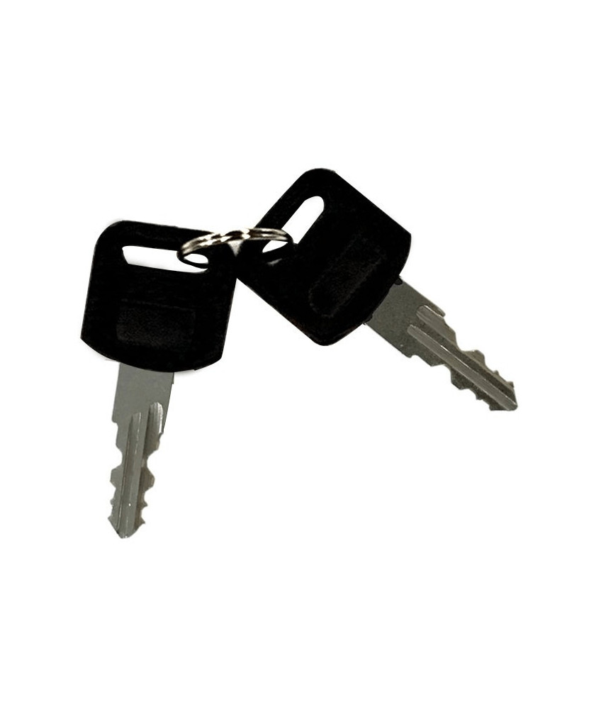 Addtional side lock key for server racks (incl. spare key)