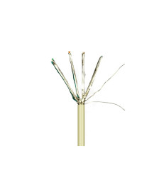 CAT6a S/FTP Patchkabel LSOH 305m kaufen | SchnellMarket